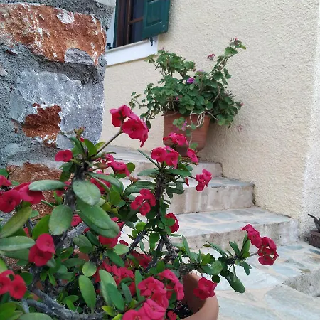 Rodomelo House - 3 Bedrooms * Leonídion