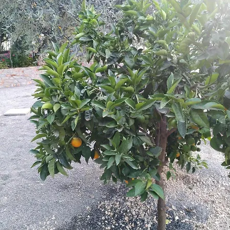 Rodomelo House - 3 Bedrooms Leonídio