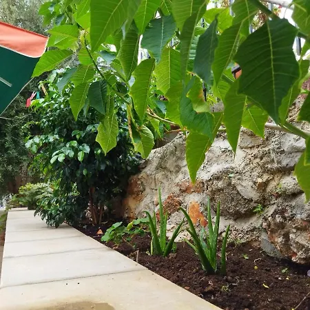 Rodomelo House - 3 Bedrooms