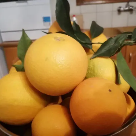 Rodomelo House - 3 Bedrooms Hébergement de vacances *