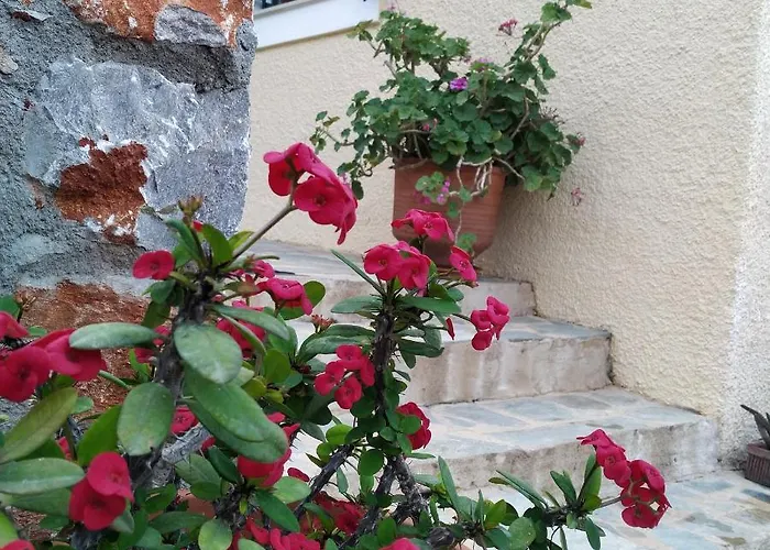 Rodomelo House - 3 Bedrooms * Leonídion