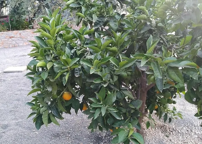 Rodomelo House - 3 Bedrooms Λεωνίδιο