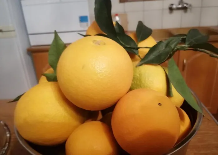 Rodomelo House - 3 Bedrooms Ferienhaus *