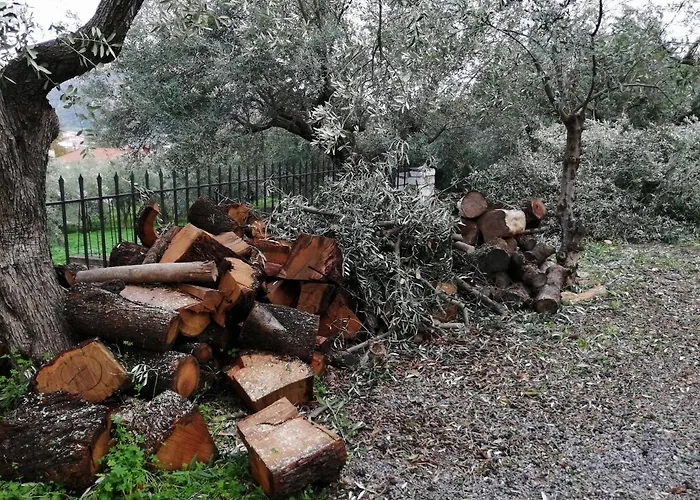 Rodomelo House - 3 Bedrooms Ferienhaus Leonídion